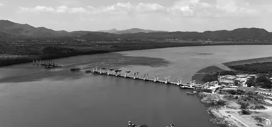 Project View
